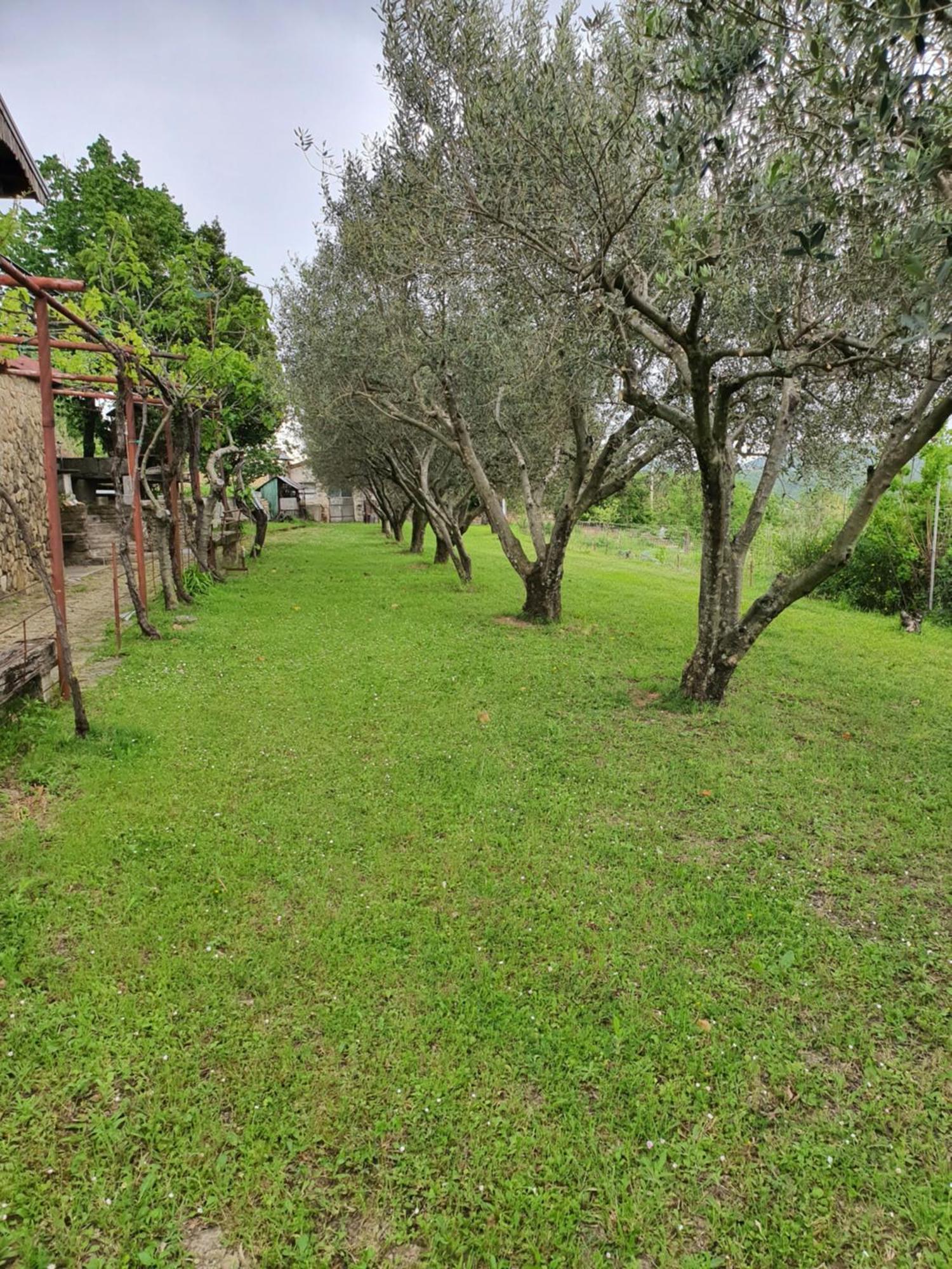 איזולה Apartma Vista Baredi מראה חיצוני תמונה