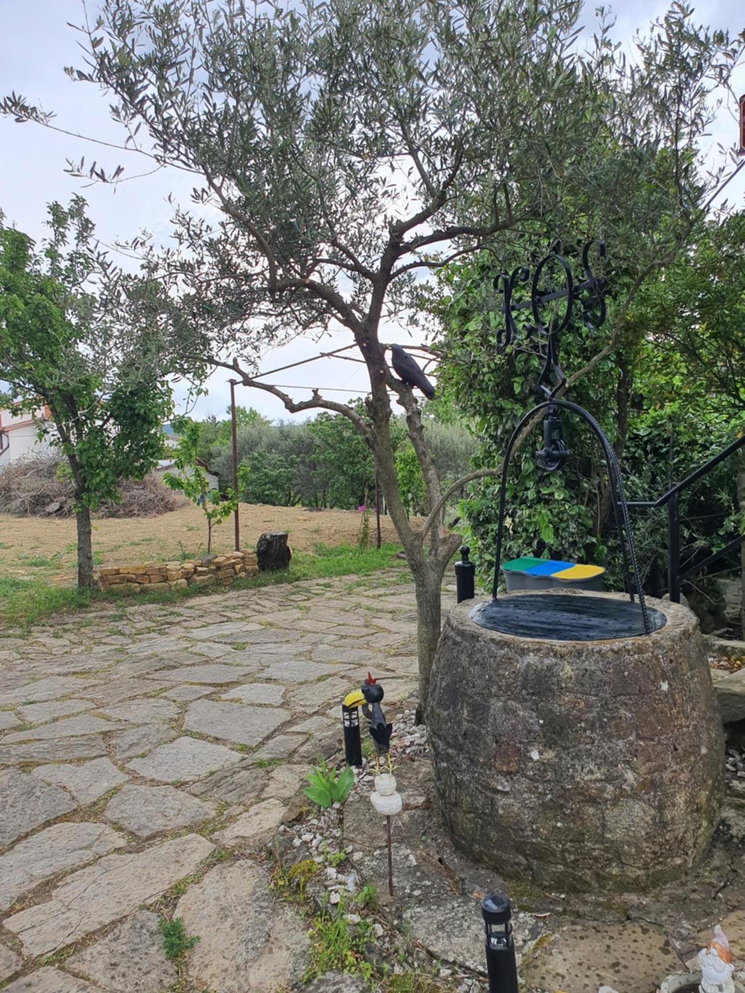איזולה Apartma Vista Baredi מראה חיצוני תמונה