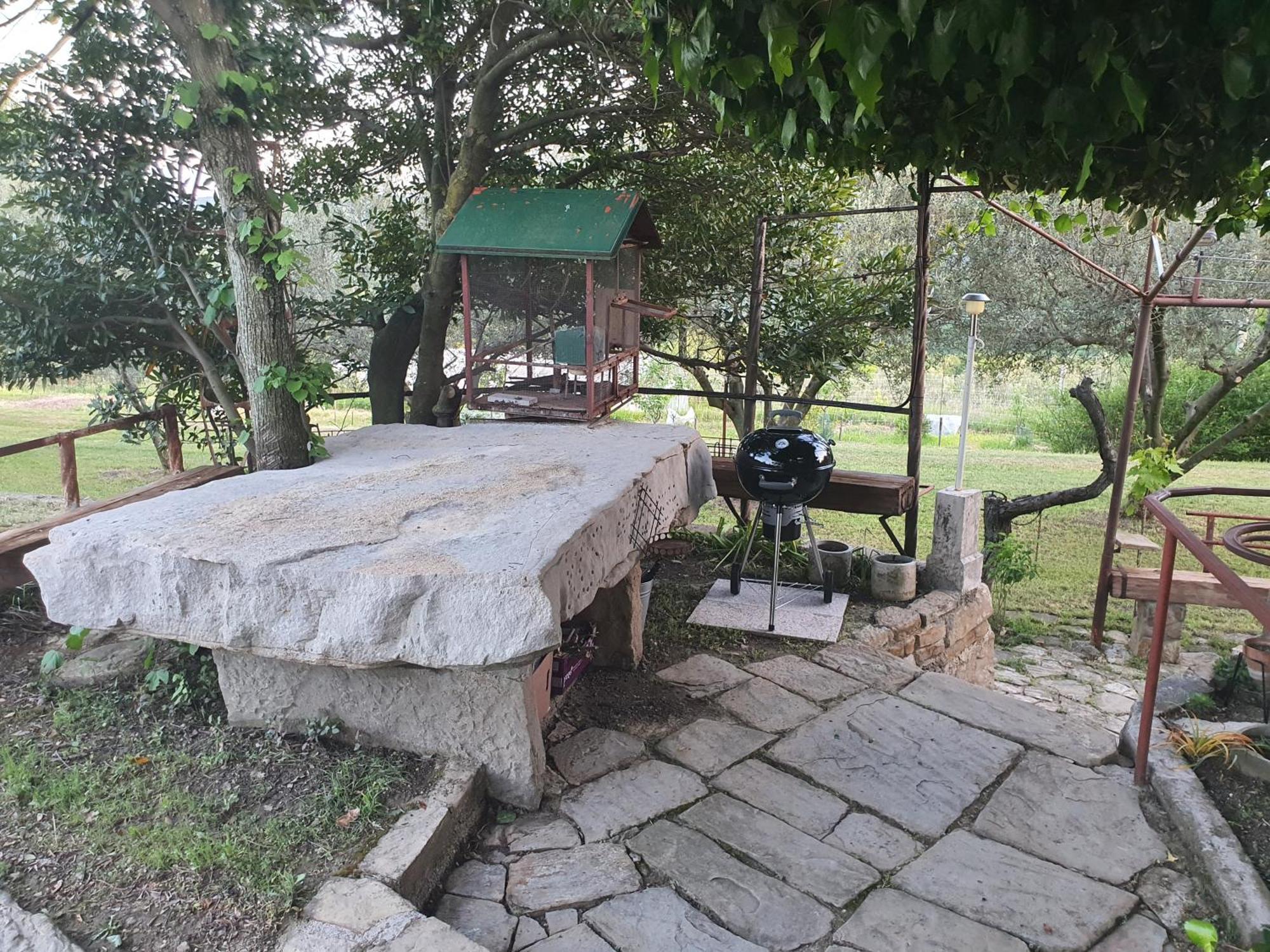 איזולה Apartma Vista Baredi מראה חיצוני תמונה