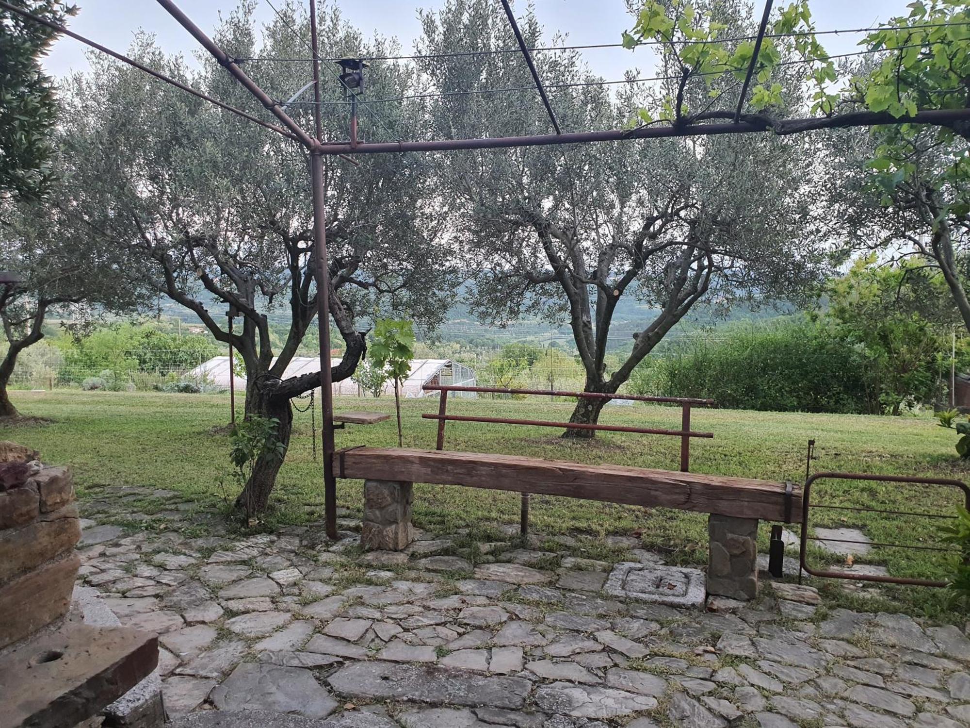 איזולה Apartma Vista Baredi מראה חיצוני תמונה